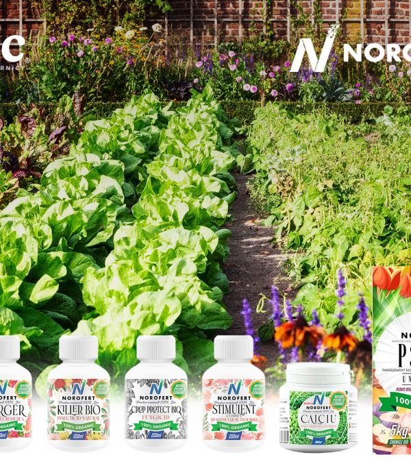 La Rodnic găsești produse pentru grădină 100% naturale de la Norofert